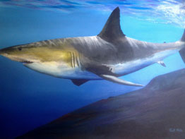 Great White Shark